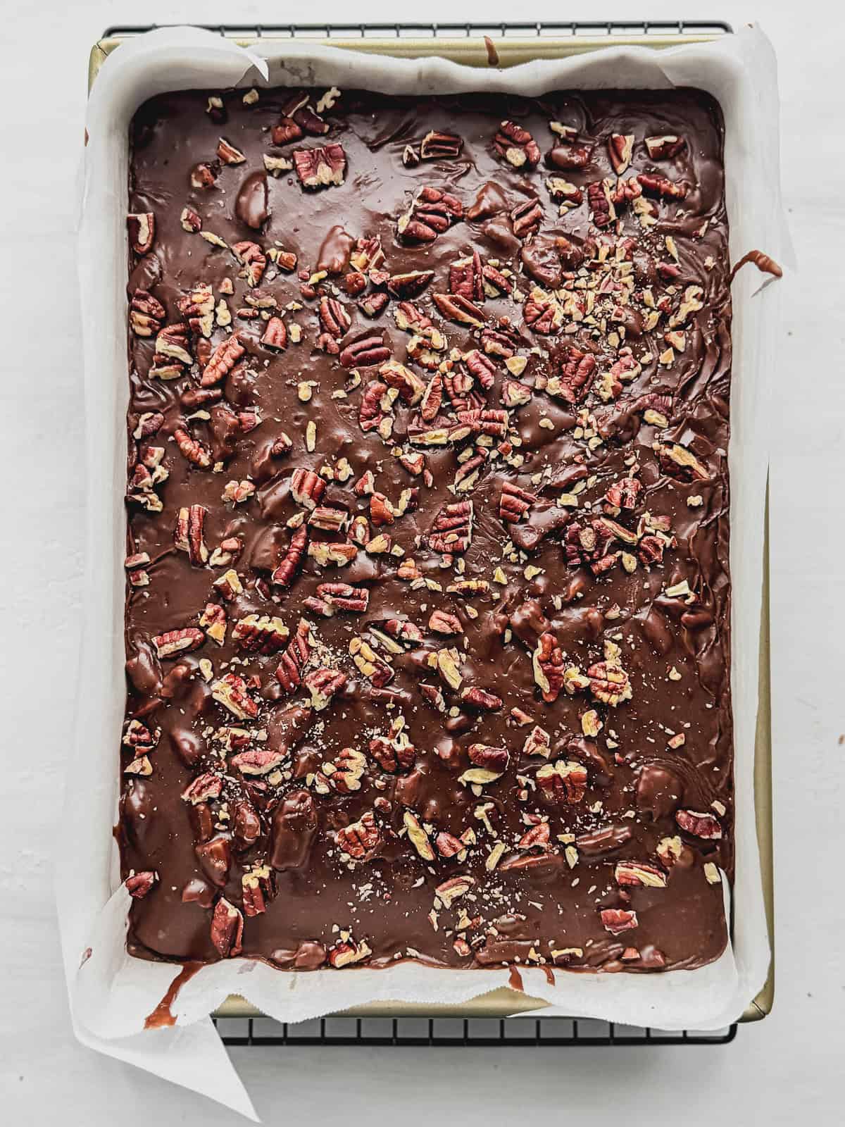 Frosted Texas sheet cake with chopped pecans in a cake pan on a wire rack.